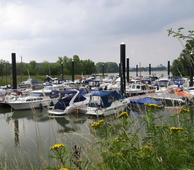 Neuer Hafen, neue Boote