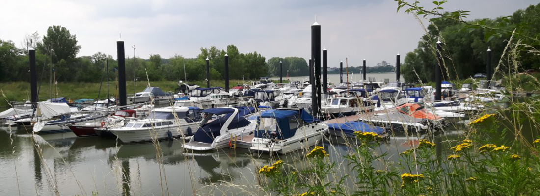 Neuer Hafen, neue Boote