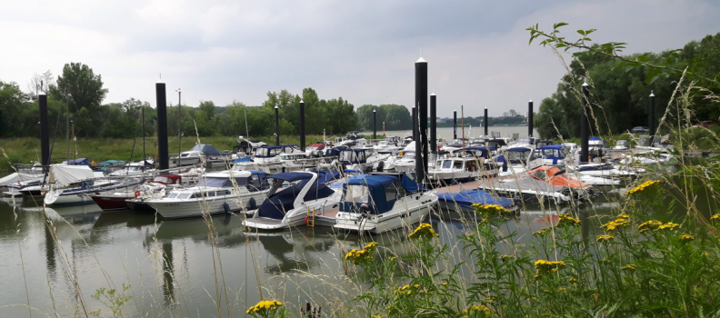 Neuer Hafen, neue Boote