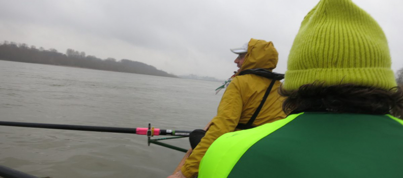 Neuer Kilometerrekord der Ruderer, wenig Wasser für Motor- und Segelboote – So war 2018