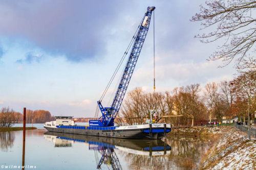19 Holzdalben gezogen