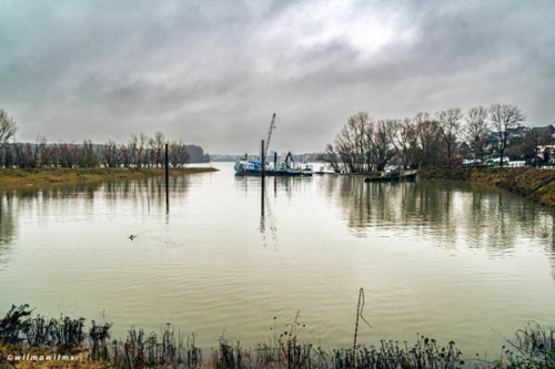 23 wo sind all die Dalben hin?