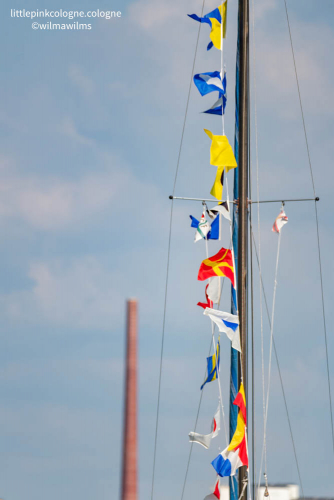 CfWP Anfahrt 2021-3239