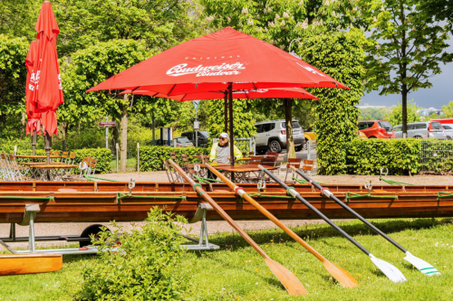 Ruderblätter gestern und heute