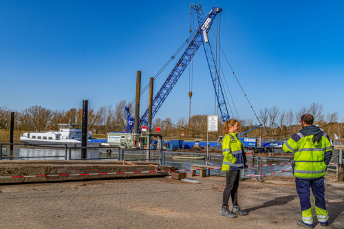 Dalben setzen 2-5648