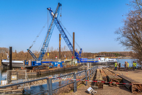 Dalben setzen 3b-7151