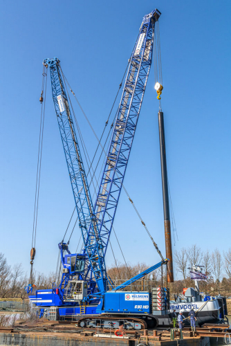 Dalben setzen 3b-7243_1