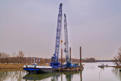 Dalben setzen Dalben streichen-3832