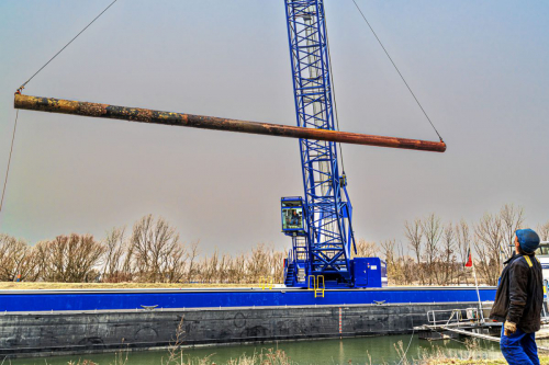 Dalben setzen Dalben streichen-3982