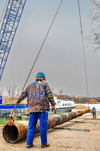 Dalben setzen Dalben streichen-4085