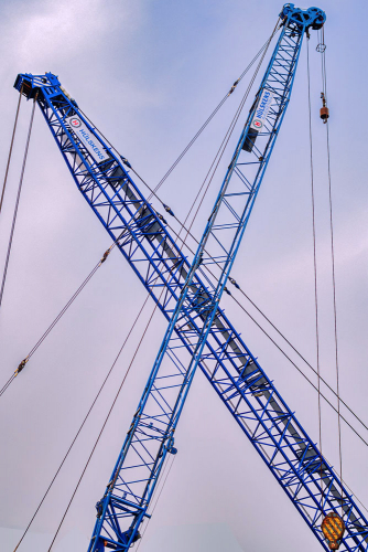 Dalben setzen Dalben streichen-4631