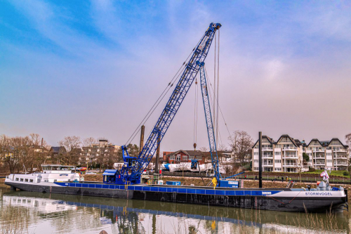 Dalben setzen Dalben streichen-4872