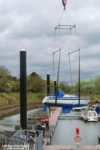 Einkranen 1. April 22-3013-nef_DxO_DeepPRIME-Bearbeitet