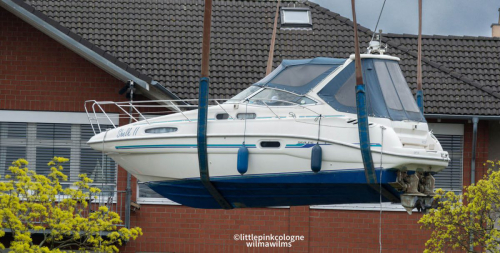 Einkranen 1. April 22-3166-nef_DxO_HQ-Bearbeitet