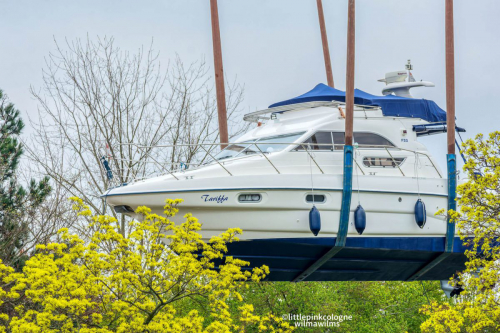 Einkranen 1. April 22-3286-nef_DxO_DeepPRIME-Bearbeitet