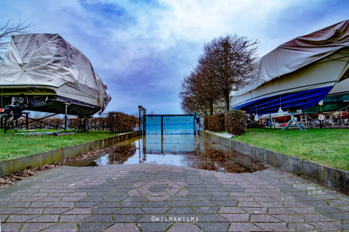 Vater Rhein ist am Clubhaus angekommen.