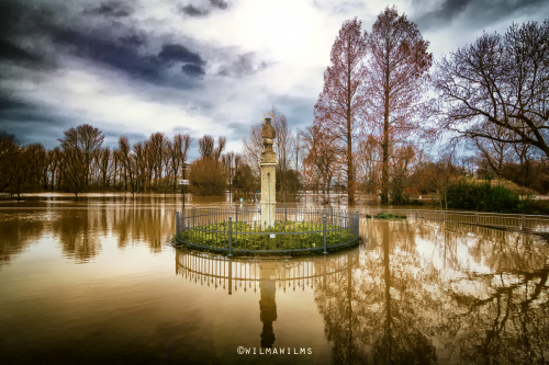Hochwasser Zündorf08.01.2018_0880b