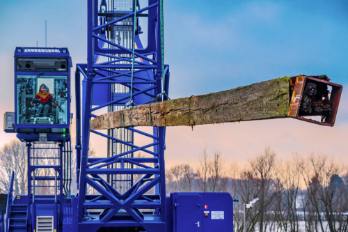 Holzdalben ziehen nachmittags-2459-Bearbeitet