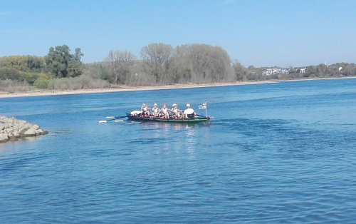 IMG_20181014_131919-cut-cut