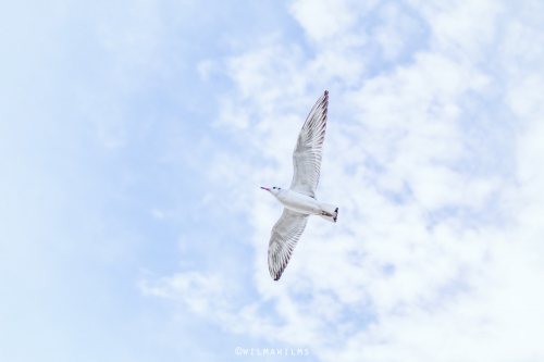 huwasser 3 2018_0947