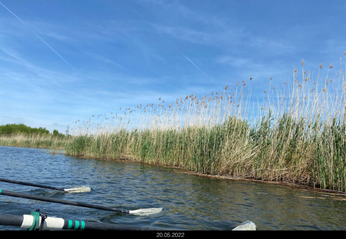 Haveltour 2022 CfWP - Kilometer über Kilometer Schilf